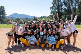 Image result for Oblivion Softball Club