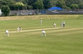 Image result for Downe Cricket Club