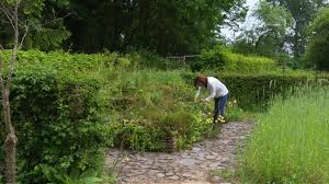 Image result for Priona Tuinen