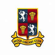 Image result for Pontblyddyn Cricket Club
