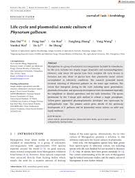 Attēlu rezultāti vaicājumam “Didymium annulisporum young”