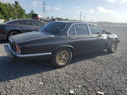 Image result for Sable Black 1982 Jaguar