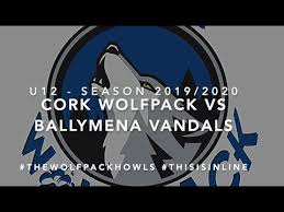 Image result for Ballymena Vandals