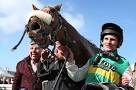 Crabbies Grand National 2015: Welsh trainer Peter Bowen hopes.