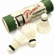Image result for Pioneers Badminton Club