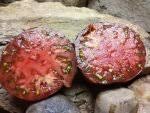 Afbeeldingsresultaat voor black oxheart tomato