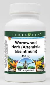 Attēlu rezultāti vaicājumam “Artemisia absinthium”