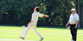 Image result for Sandwich Town Cricket Club
