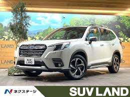 「ソフィア・フォレスター」の画像検索結果