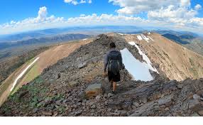 Image result for mountain top seashell