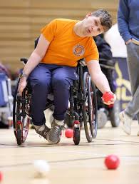 Image result for North Wales Boccia