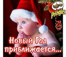 данилик анна