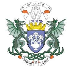 Image result for Dundee Dragons
