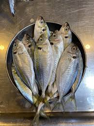 Image result for ikan