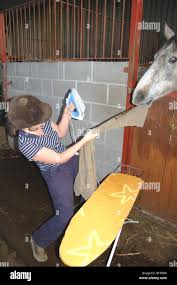 Image result for extreme ironing