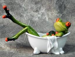 Image result for Bath Amphibians
