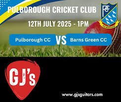 Image result for Pulborough Cricket Club