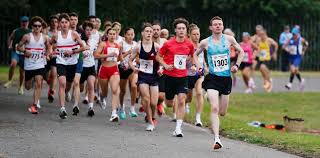 Image result for Lincoln Wellington Ac