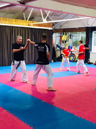 Image result for Torbay Taekwondo Schools