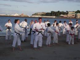 Image result for Kenshukai Karate