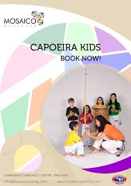 Image result for Cambrian Centre for Activity