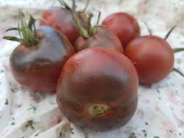 Afbeeldingsresultaat voor debarro black tomato