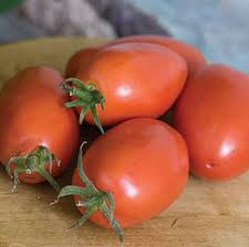 Afbeeldingsresultaat voor amish paste tomato