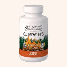 Attēlu rezultāti vaicājumam “Cordyceps”