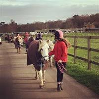 Image result for Weybridge Equestrian Centre