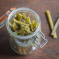 Attēlu rezultāti vaicājumam “Angelica sylvestris fruit”