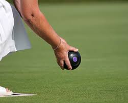Image result for Winterslow Short Mat Bowls Club
