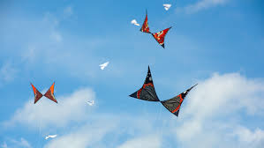 Image result for Midlands Kite Fliers