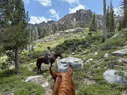 Image result for Stockport Clarion Cycling Club