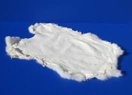 Image result for white rabbit skin texture