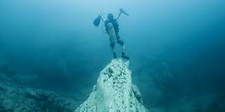 Image result for Dive Barracuda