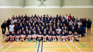 Image result for Molineux Netball Club
