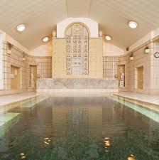 「ハナコ テルマエ・ロマエ」の画像検索結果