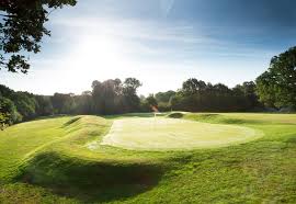 Image result for Surbiton Golf Club