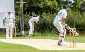 Image result for Alne Cricket Club