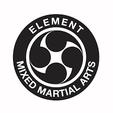 Image result for Full Element Mixed Martial Arts