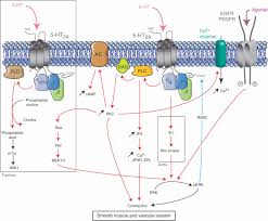 Image result for HTRPC