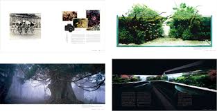 Znalezione obrazy dla zapytania takashi amano%