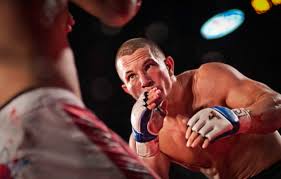 Image result for Wolverine MMA