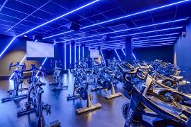 Image result for The David Lloyd Club