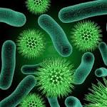 rendering of <b>bacteria</b> - in