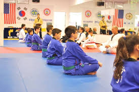 Image result for Taekwondo Athletes Program USA