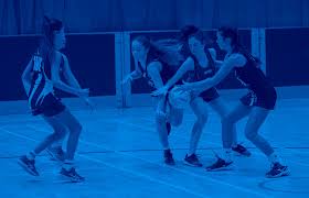 Image result for Beacon Netball Club