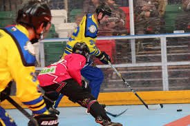 Image result for Llantwit Lions