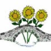 Image result for Pontblyddyn Cricket Club