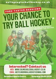 Image result for Ealing Eagles Ball Hockey Club